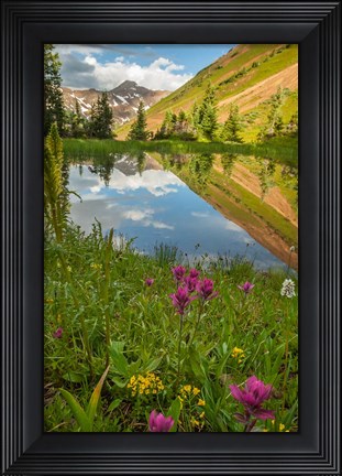 Framed Paradise Divide Pond Reflection Print