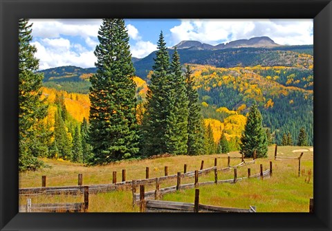 Framed Autumn Colors In The San Juan Mountains, Colorado Print