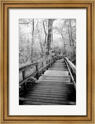 Framed Big Bend Board Walk, Florida (BW) Print