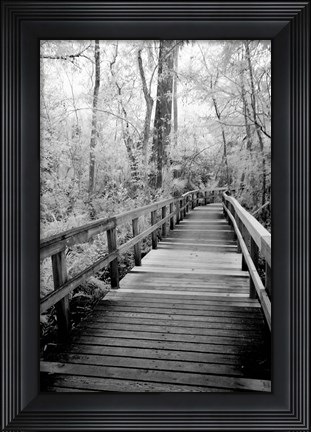 Framed Big Bend Board Walk, Florida (BW) Print