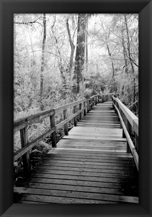 Framed Big Bend Board Walk, Florida (BW) Print