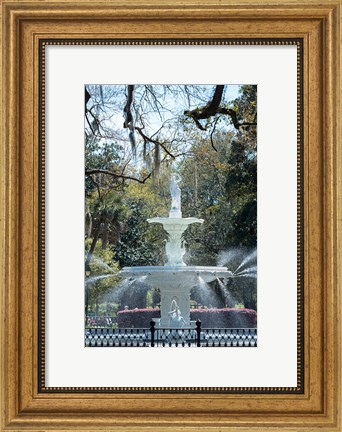 Framed Fountain In Forsyth Park, Savannah, Georgia Print