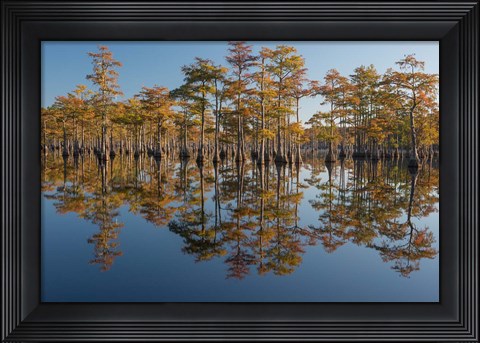 Framed Pond Cyprus In Early Morning Light, Georgia Print