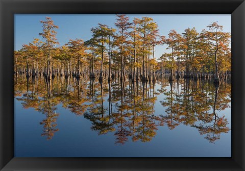 Framed Pond Cyprus In Early Morning Light, Georgia Print