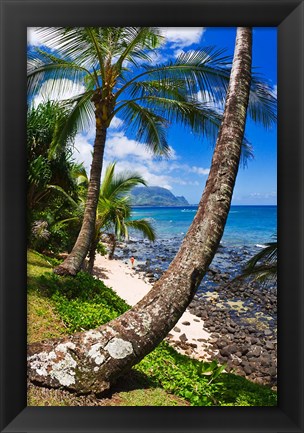 Framed Hideaways Beach, Island Of Kauai, Hawaii Print