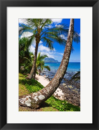 Framed Hideaways Beach, Island Of Kauai, Hawaii Print