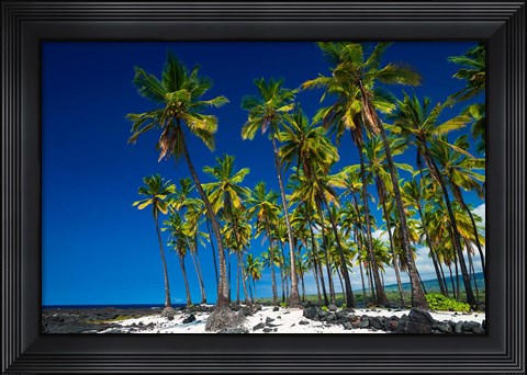 Framed Coconut Palms At Pu&#39;uhonua O Honaunau National Historic Park, Hawaii Print