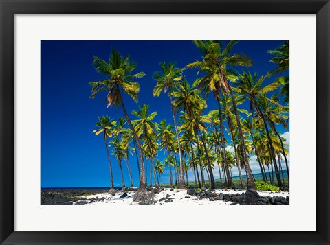 Framed Coconut Palms At Pu&#39;uhonua O Honaunau National Historic Park, Hawaii Print