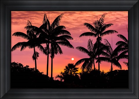 Framed Sunset Through Silhouetted Palm Trees, Kona Coast, Hawaii Print