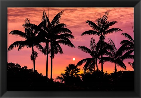 Framed Sunset Through Silhouetted Palm Trees, Kona Coast, Hawaii Print