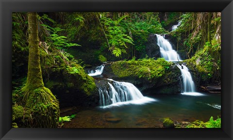 Framed Onomea Waterfalls At The Hawaii Tropical Botanical Garden Print