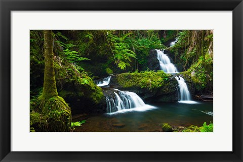 Framed Onomea Waterfalls At The Hawaii Tropical Botanical Garden Print