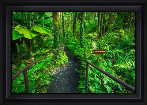 Framed Boulder Creek Trail, Hawaii Print