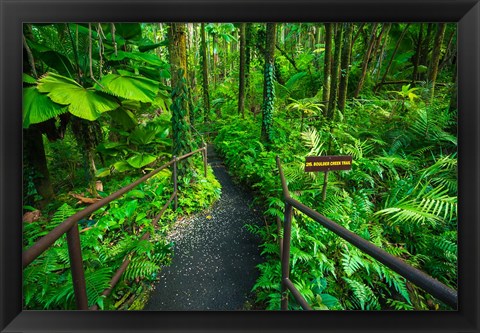 Framed Boulder Creek Trail, Hawaii Print