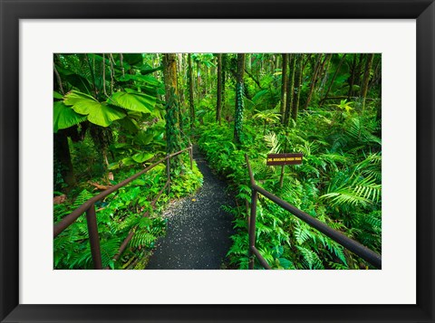 Framed Boulder Creek Trail, Hawaii Print