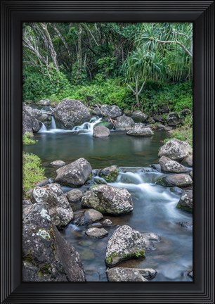 Framed Limahuli Garden And Preserve, Kauai, Hawaii Print