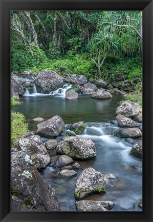 Framed Limahuli Garden And Preserve, Kauai, Hawaii Print