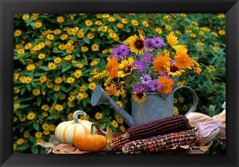 Framed Autumn Display Of Flowers Print