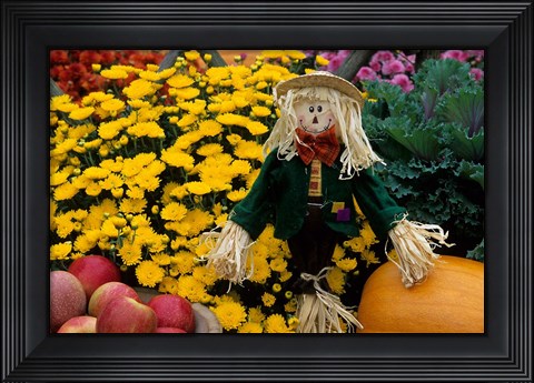 Framed Fall Garden Display, Illinois Print