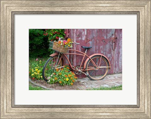 Framed Old Bicycle With Flower Basket, Marion County, Illinois Print