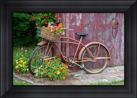Framed Old Bicycle With Flower Basket, Marion County, Illinois Print