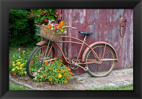 Framed Old Bicycle With Flower Basket, Marion County, Illinois Print