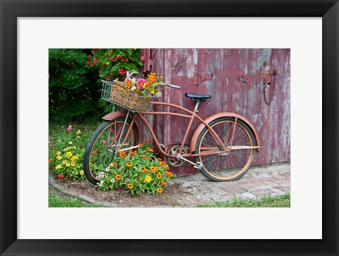 Framed Old Bicycle With Flower Basket, Marion County, Illinois Print