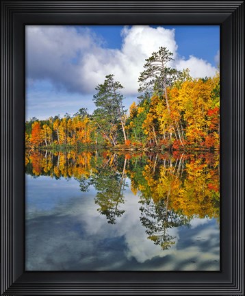 Framed Autumn Scene Of Upper Togue Pond, Maine Print