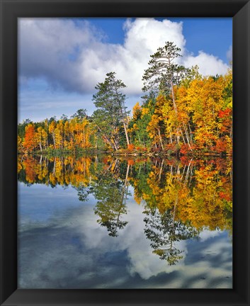 Framed Autumn Scene Of Upper Togue Pond, Maine Print