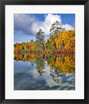 Framed Autumn Scene Of Upper Togue Pond, Maine Print