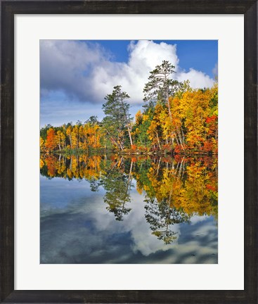 Framed Autumn Scene Of Upper Togue Pond, Maine Print