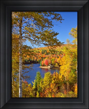 Framed Wyman Lake In Autumn, Maine Print
