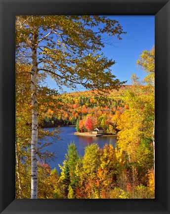 Framed Wyman Lake In Autumn, Maine Print