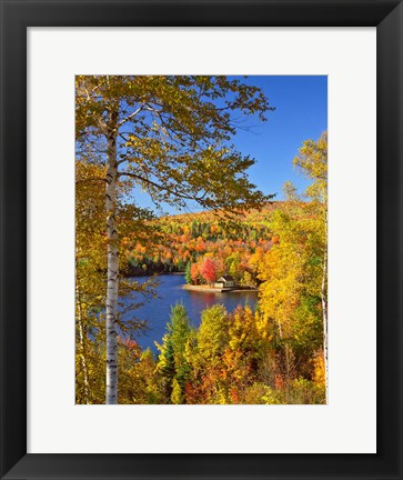 Framed Wyman Lake In Autumn, Maine Print