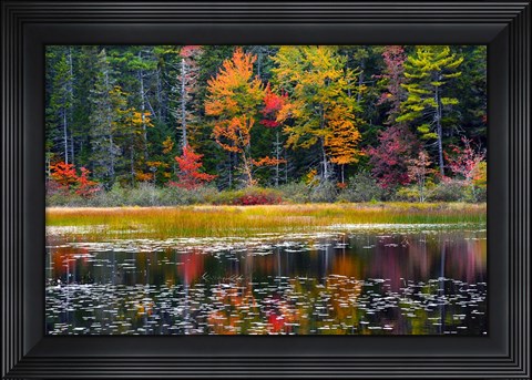 Framed Somes Pond In Autumn, Somesville, Maine Print