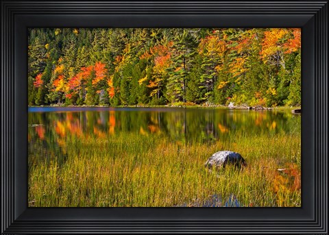 Framed Autumn Reflections In Bubble Pond, Acadia National Park, Maine Print