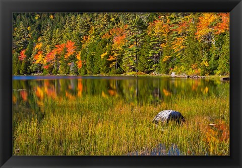 Framed Autumn Reflections In Bubble Pond, Acadia National Park, Maine Print