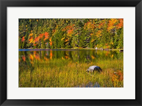 Framed Autumn Reflections In Bubble Pond, Acadia National Park, Maine Print