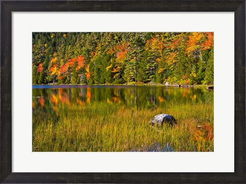 Framed Autumn Reflections In Bubble Pond, Acadia National Park, Maine Print