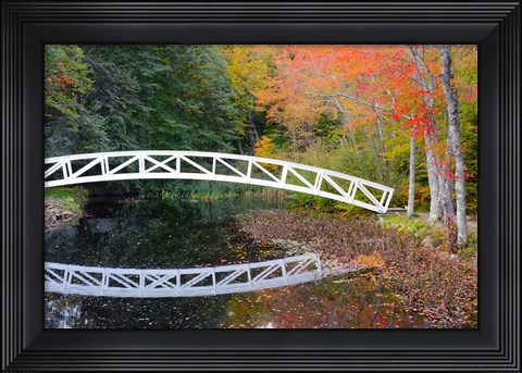 Framed White Footbridge In Autumn, Somesville, Maine Print