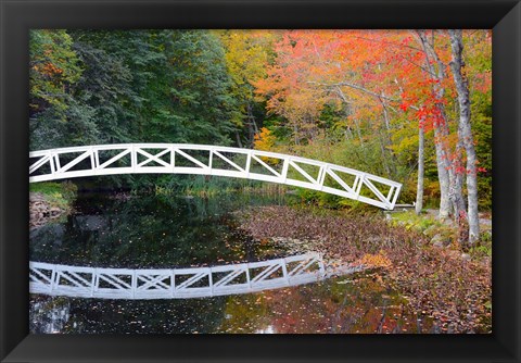 Framed White Footbridge In Autumn, Somesville, Maine Print