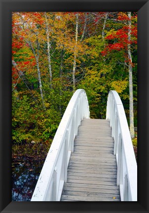 Framed White Footbridge Path, Maine Print