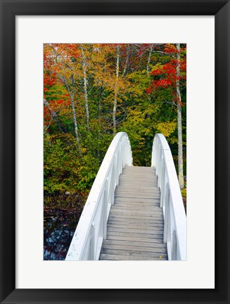 Framed White Footbridge Path, Maine Print