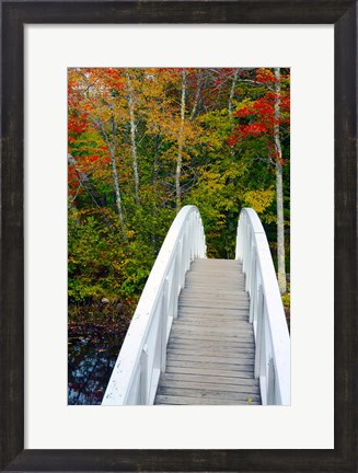 Framed White Footbridge Path, Maine Print