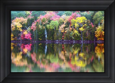 Framed Great Long Pond Reflection,  Maine Print