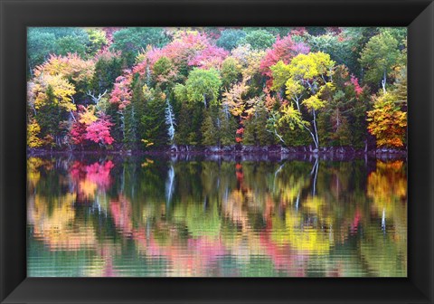 Framed Great Long Pond Reflection,  Maine Print