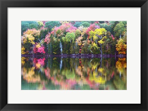 Framed Great Long Pond Reflection,  Maine Print