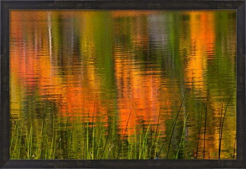 Framed Bubble Pond, Acadia National Park, Maine Print