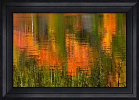 Framed Bubble Pond, Acadia National Park, Maine Print