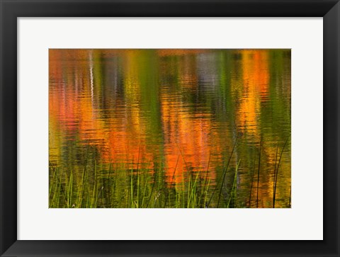 Framed Bubble Pond, Acadia National Park, Maine Print